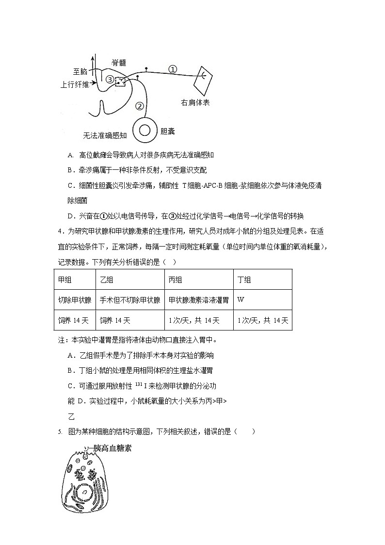 湖南省常德市汉寿县第一中学2025-2026学年高二上学期11月期中考试生物试卷第2页