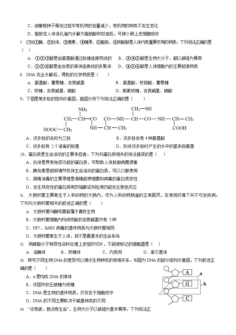 四川省内江市威远中学2025-2026学年高一上学期12月考试生物试卷第2页