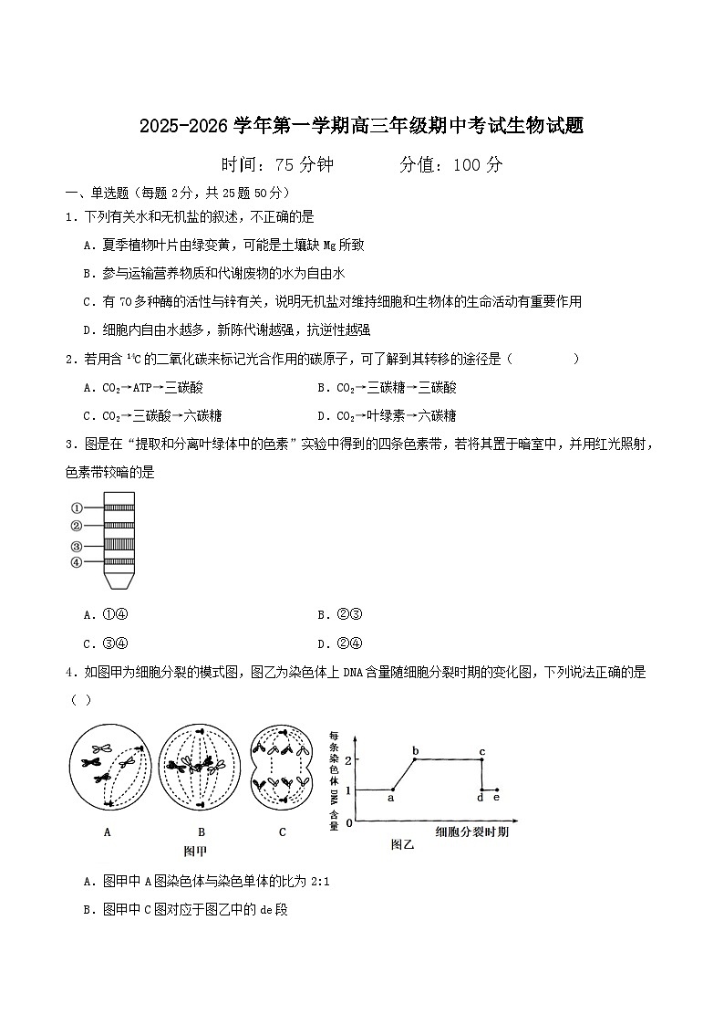 内蒙古巴彦淖尔市第一中学2026届高三上学期期中考试生物试题（Word版含答案）第1页