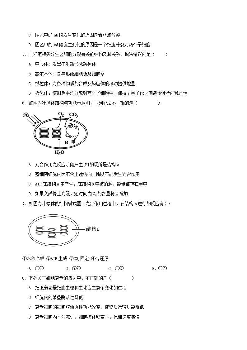 内蒙古巴彦淖尔市第一中学2026届高三上学期期中考试生物试题（Word版含答案）第2页