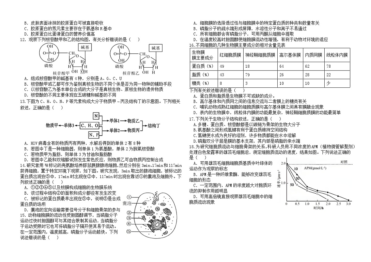 福建省福九联盟2025-2026学年高一上学期期中联考生物试卷第2页