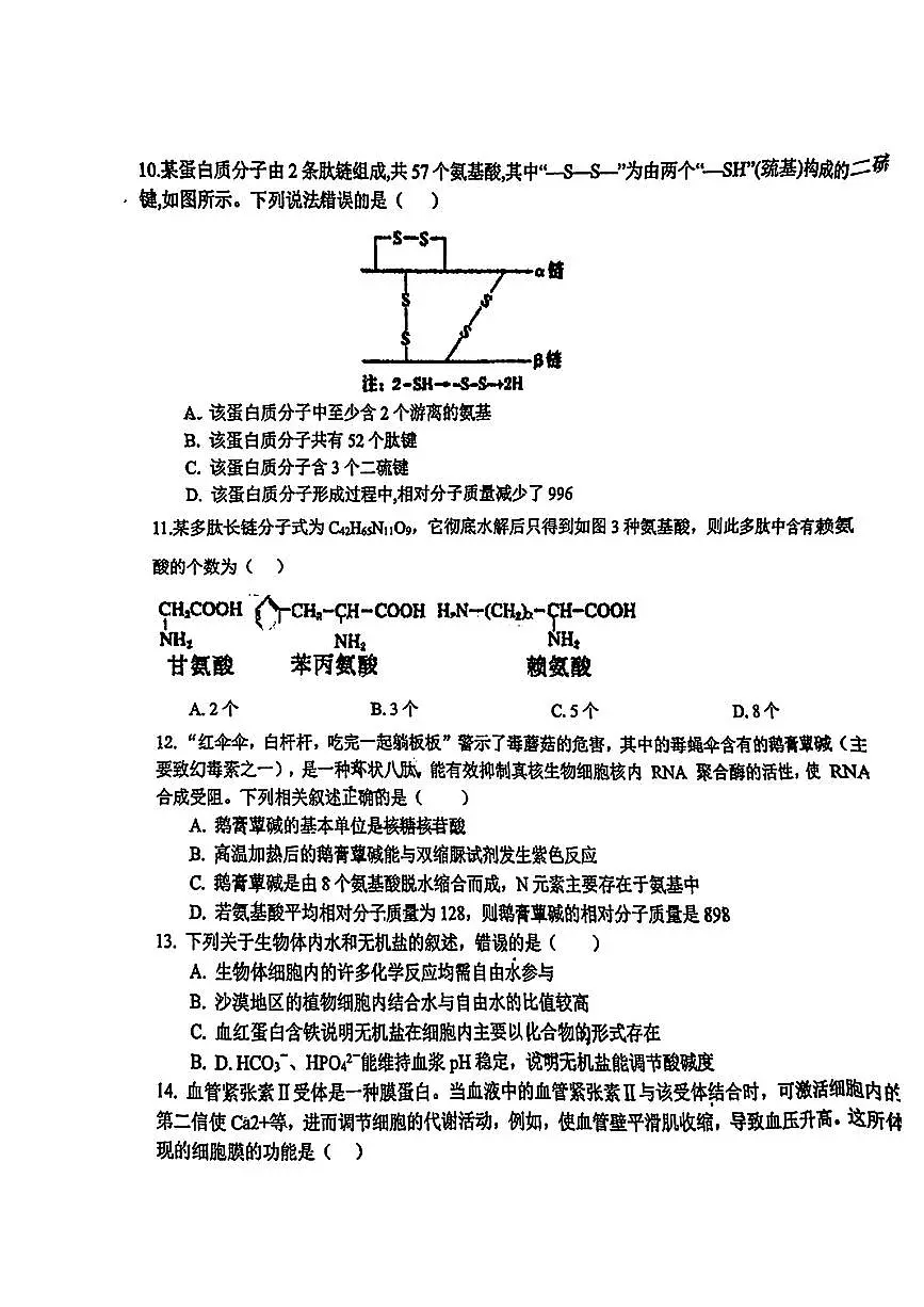 天津市和平区汇文中学2025-2026学年高一上学期期中生物试卷第3页