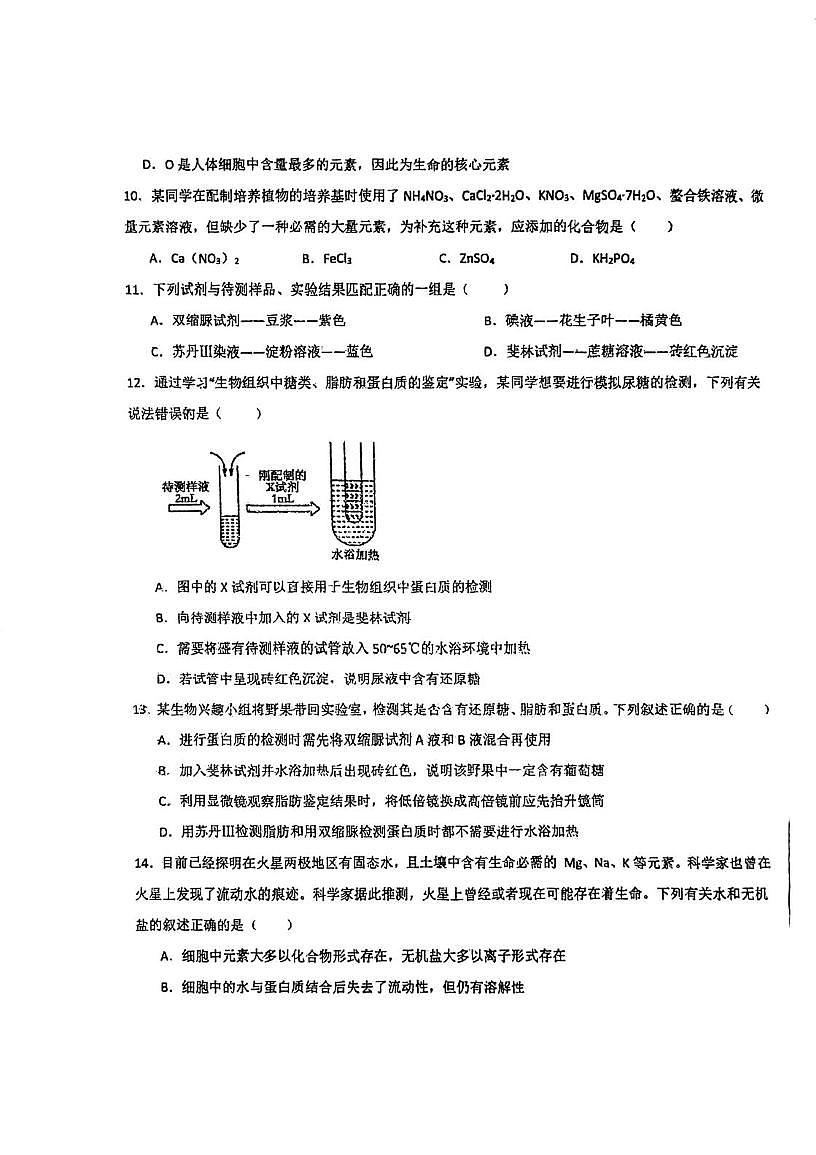 天津市河北区博文中学2025-2026学年秋高一上学期第一次月考生物试卷第3页