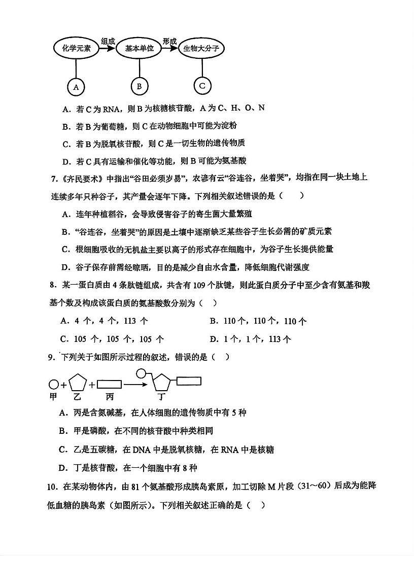 天津市河东区32中2025-2026学年高一上学期第一次月考生物试卷第2页