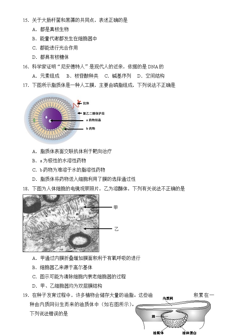 北京市第四中学2024-2025学年高一上学期期中考试生物试题-A4第3页