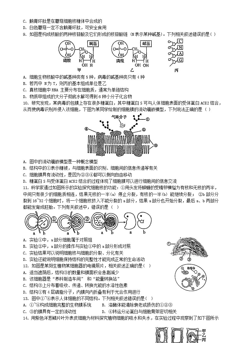 北京市第八十中学2024-2025学年高一上学期12月月考生物试题-A4第2页
