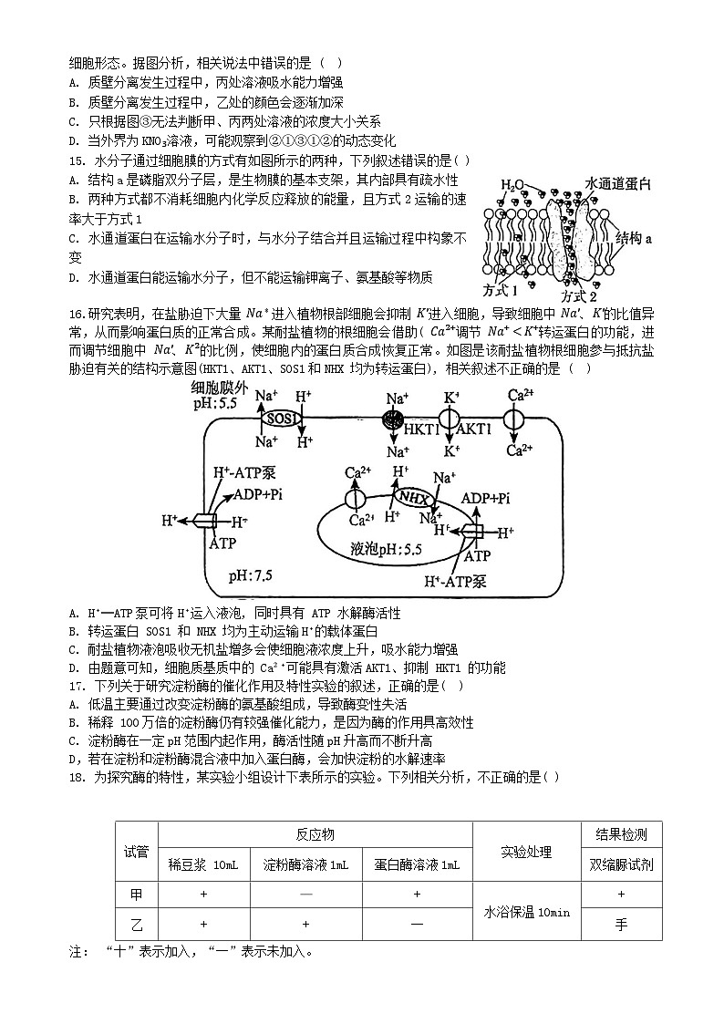 北京市第八十中学2024-2025学年高一上学期12月月考生物试题-A4第3页