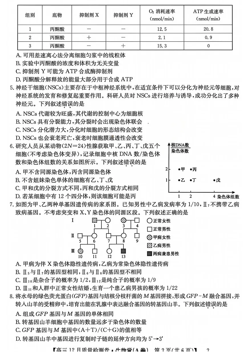 山西省卓越联盟2025-2026学年高三上学期12月考试生物试卷第2页