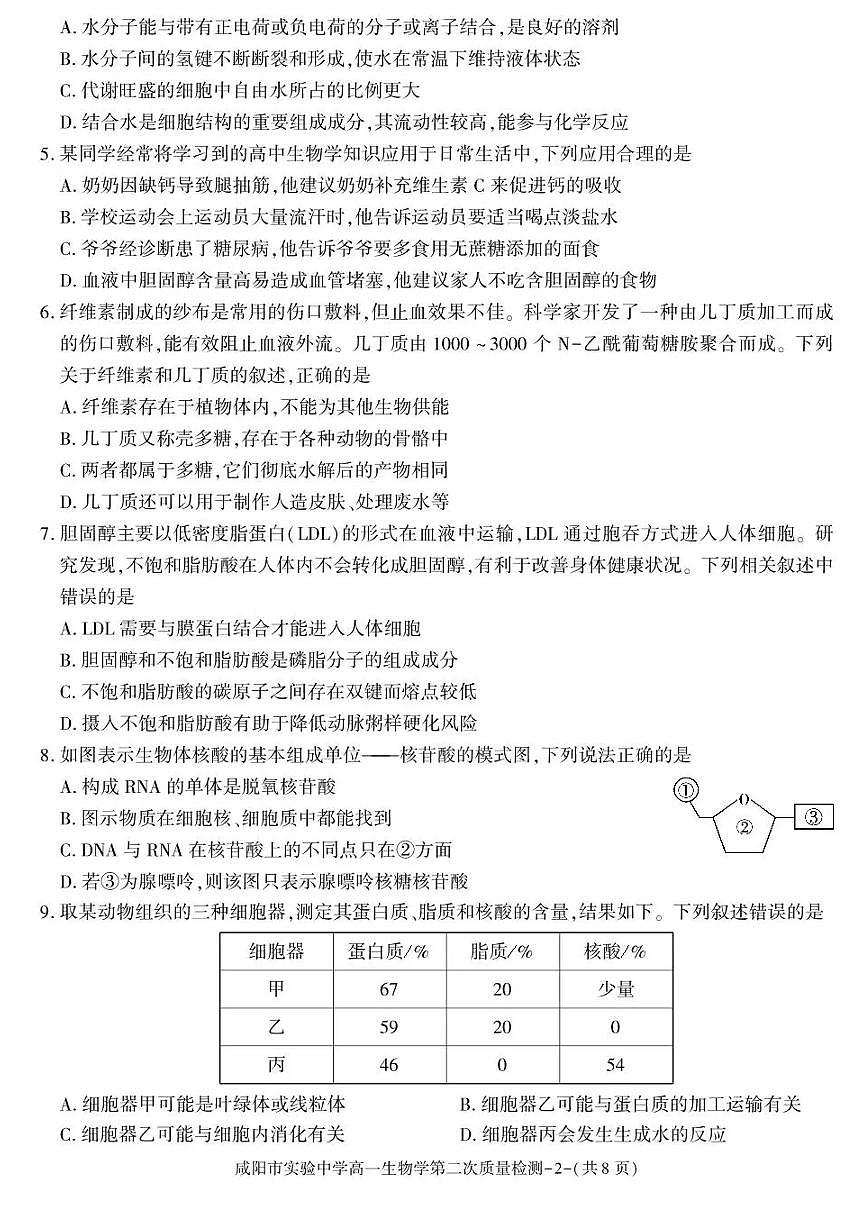 陕西省咸阳市实验中学2025-2026学年高一上学期第二次质量检测生物试卷含答案第2页