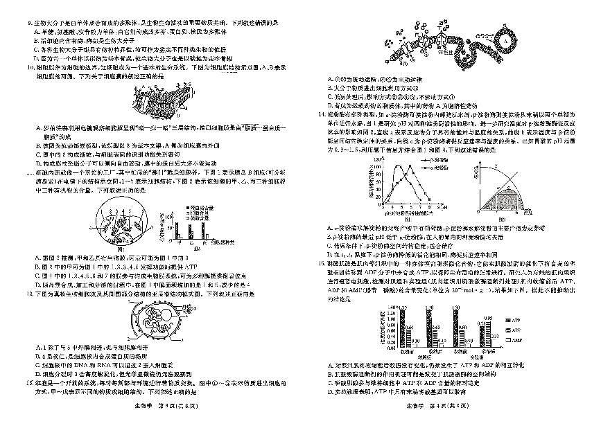 生物-辽宁省名校联盟2025-2026年上学期高一上学期12月联考试题及答案第2页