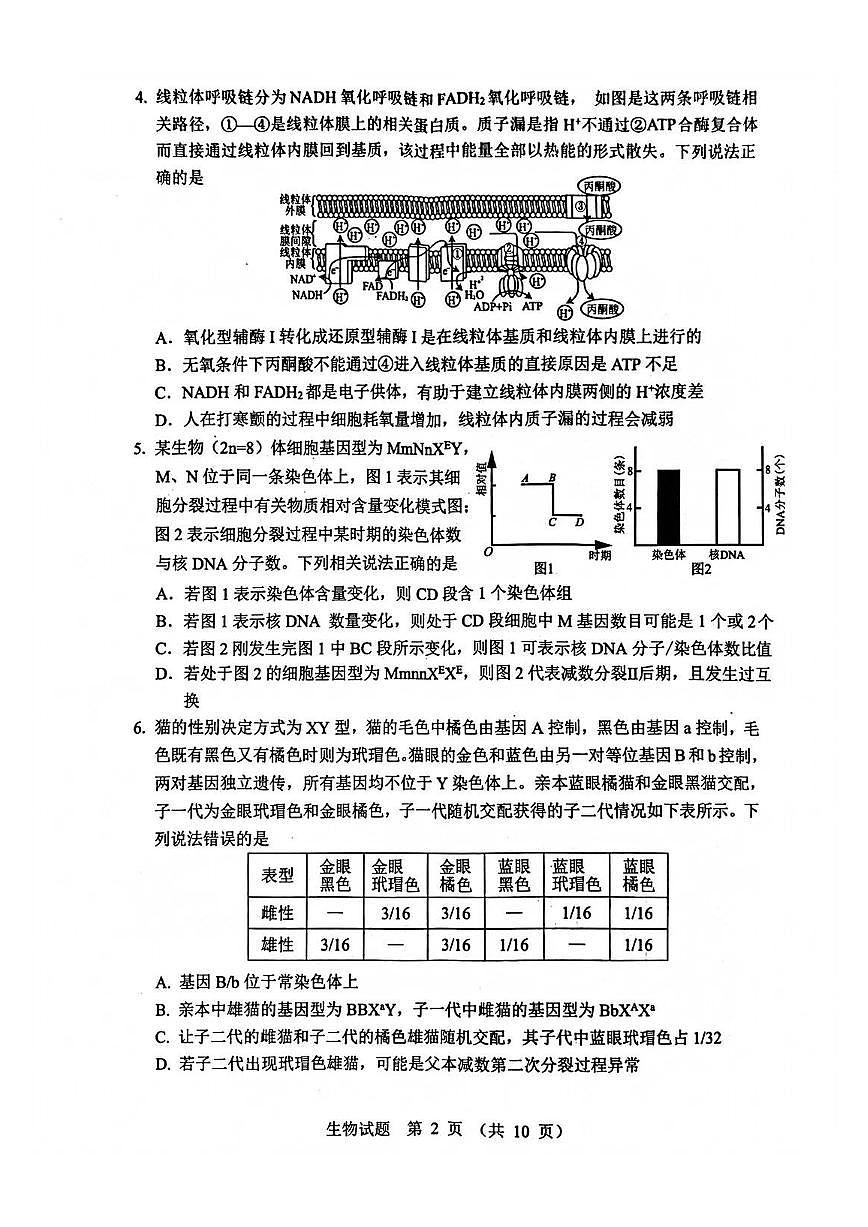 生物-山东省实验中学2026届高三上学期12月第三次诊断性考试(省实验三诊)试题及答案第2页