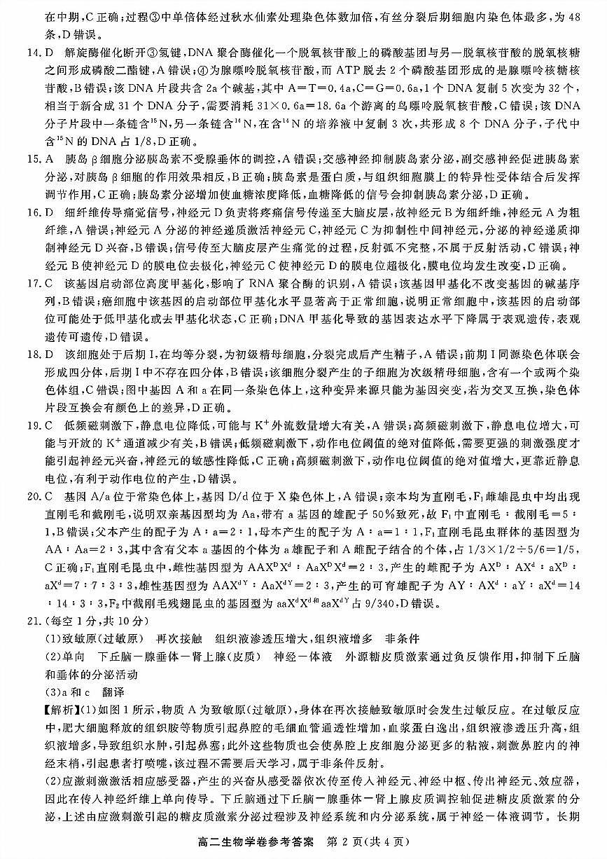 生物答案第2页