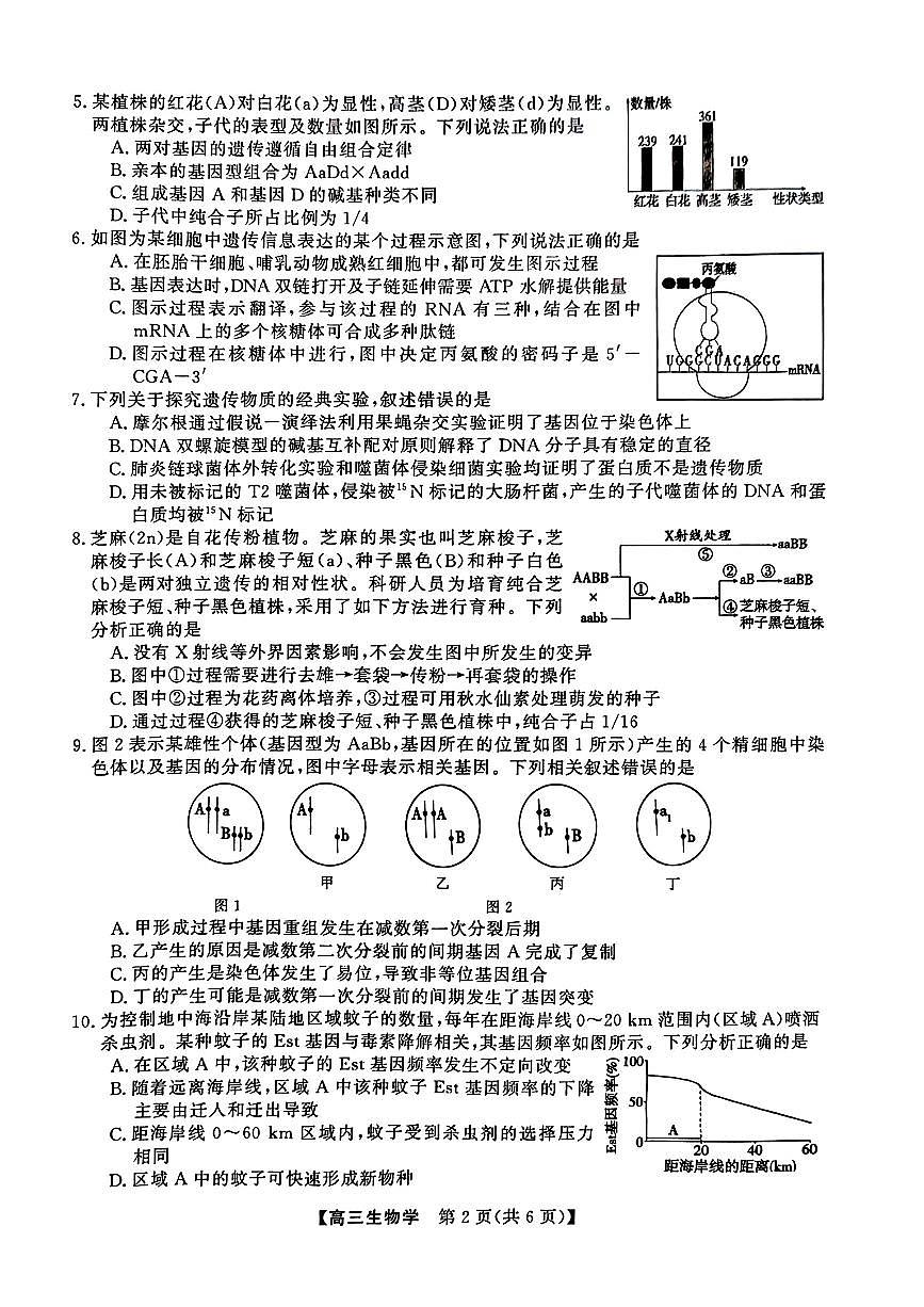 2025-2026学年高三上学期12月生物试题及答案第2页