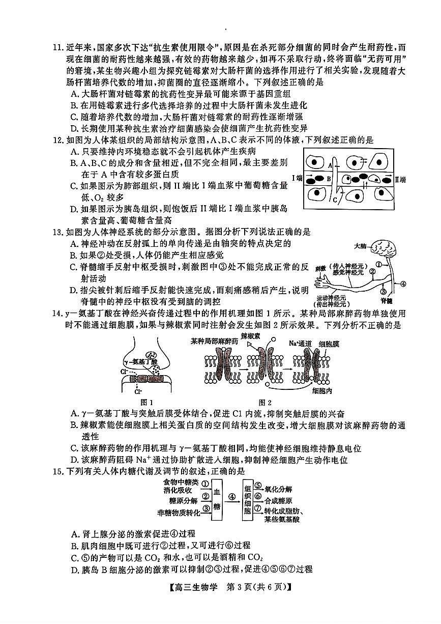 2025-2026学年高三上学期12月生物试题及答案第3页