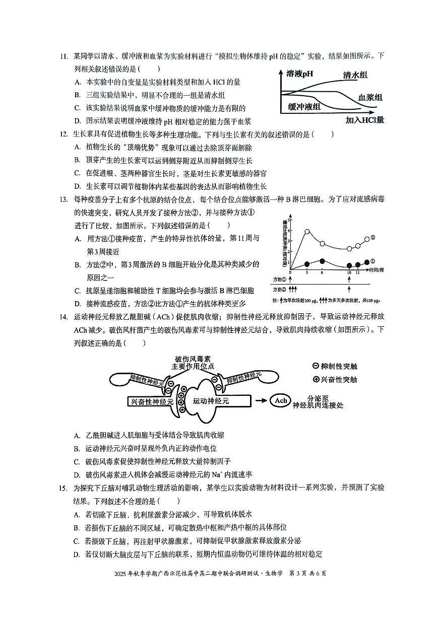 广西示范性高中2025-2026学年高二上学期期中联合调研测试生物第3页