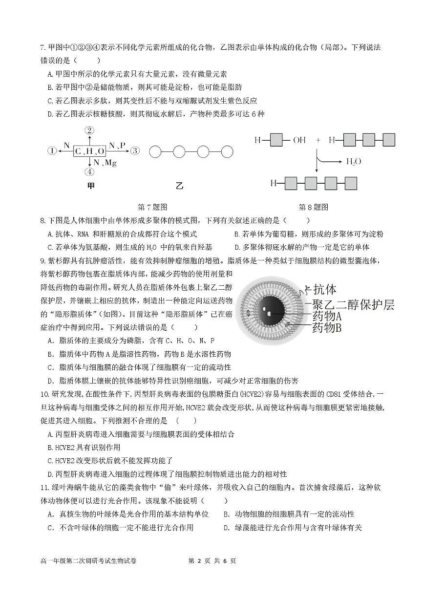 广东省揭阳市普宁市勤建学校2025-2026学年高一上学期第二次调研考试生物试题（月考）第2页