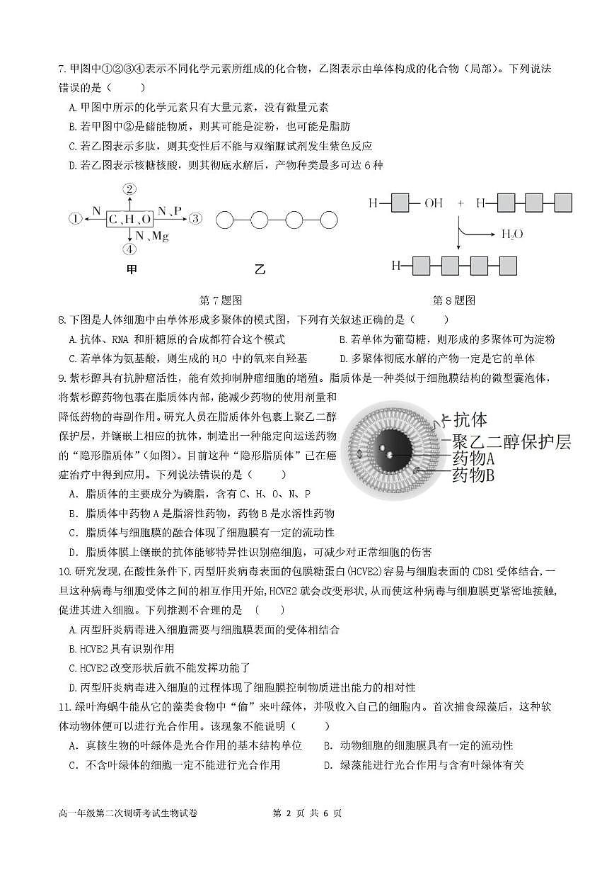 广东省揭阳市普宁市勤建学校2025-2026学年高一上学期第二次调研考试生物试题（月考）第2页