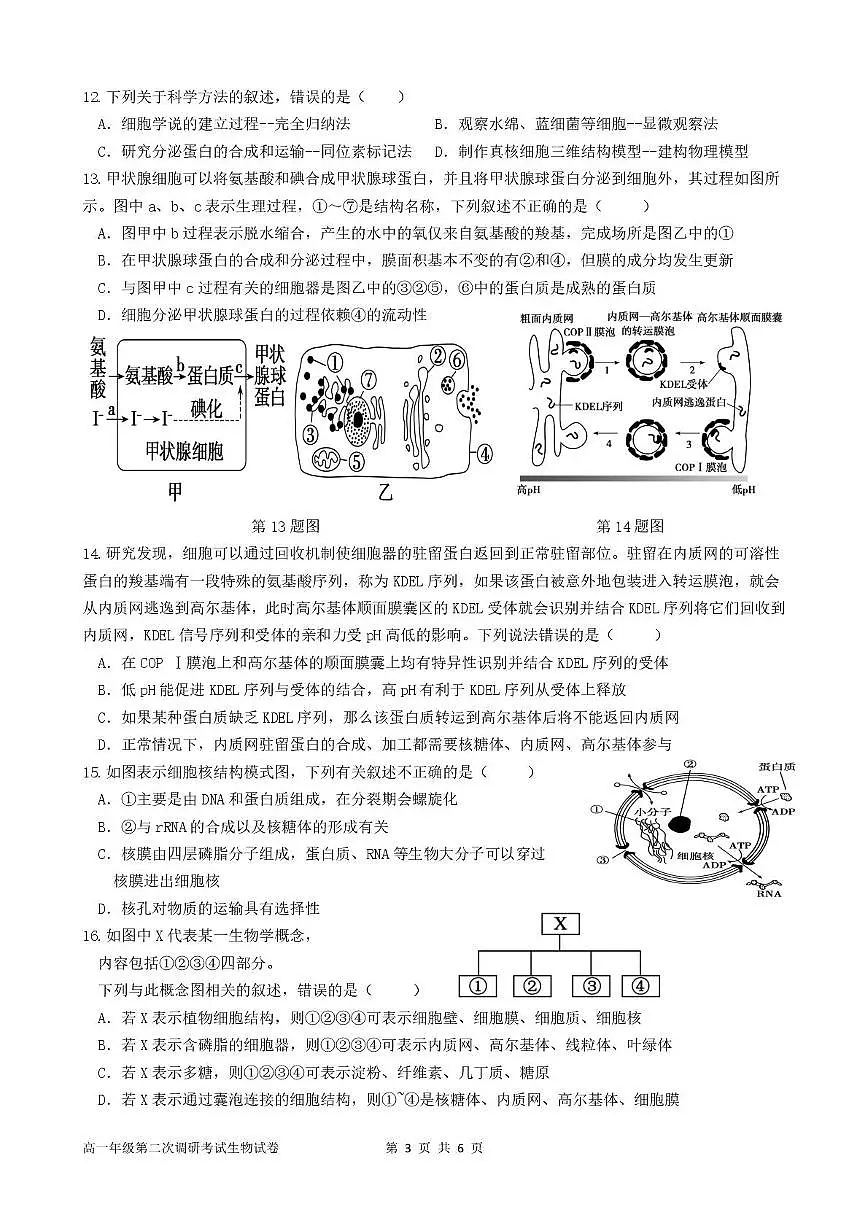 广东省揭阳市普宁市勤建学校2025-2026学年高一上学期第二次调研考试生物试题（月考）第3页