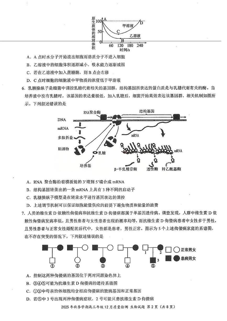 湖北省十一校2025-2026学年高三上学期12月质量检测生物试题（月考）第2页