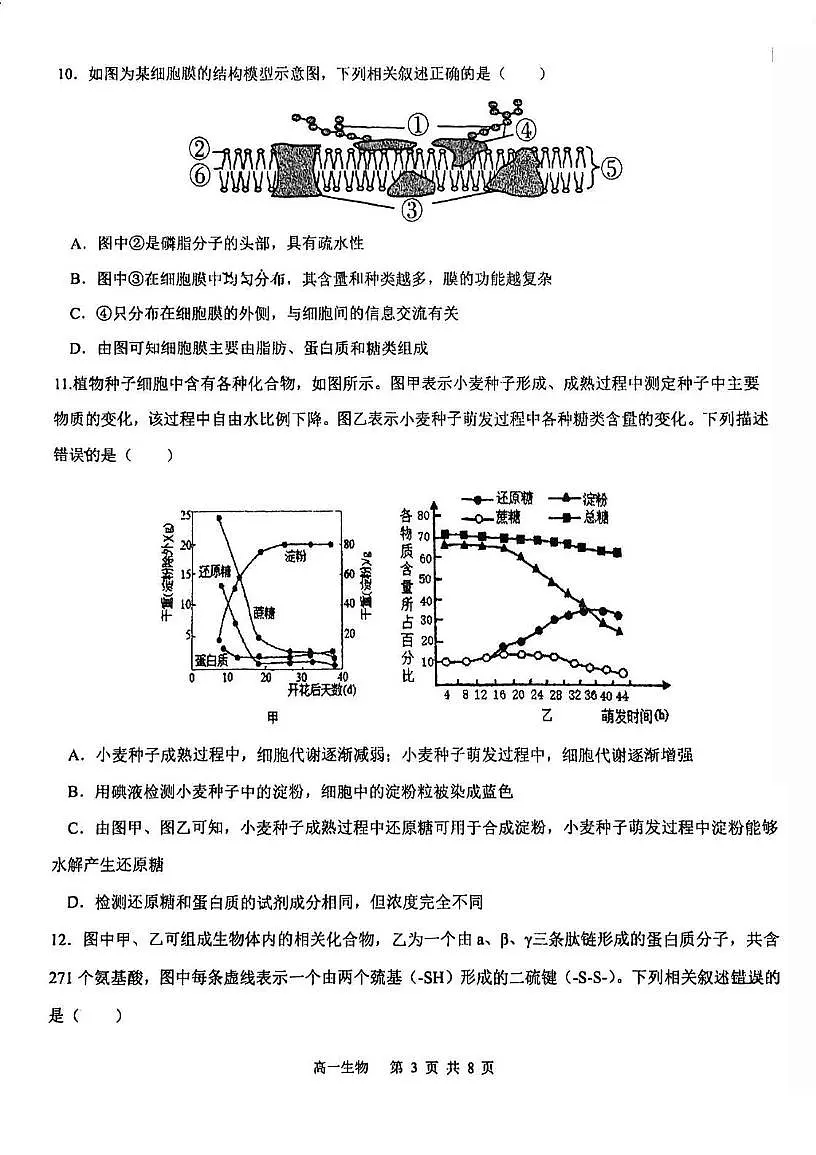 天津市北辰华辰学校2025—2026学年高一上学期第一次考试生物试题（月考）第3页