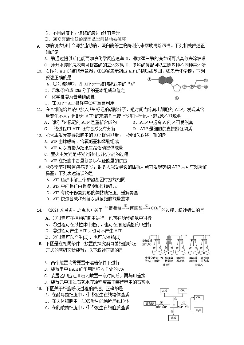 北京市某校2024-2025学年高一上学期12月月考生物试题第2页