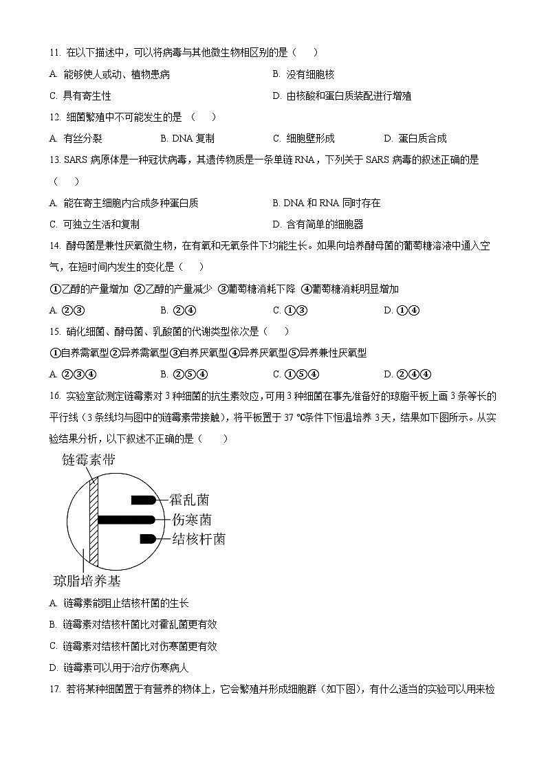 北京市育才学校2024-2025学年高二下学期3月月考生物试题第3页