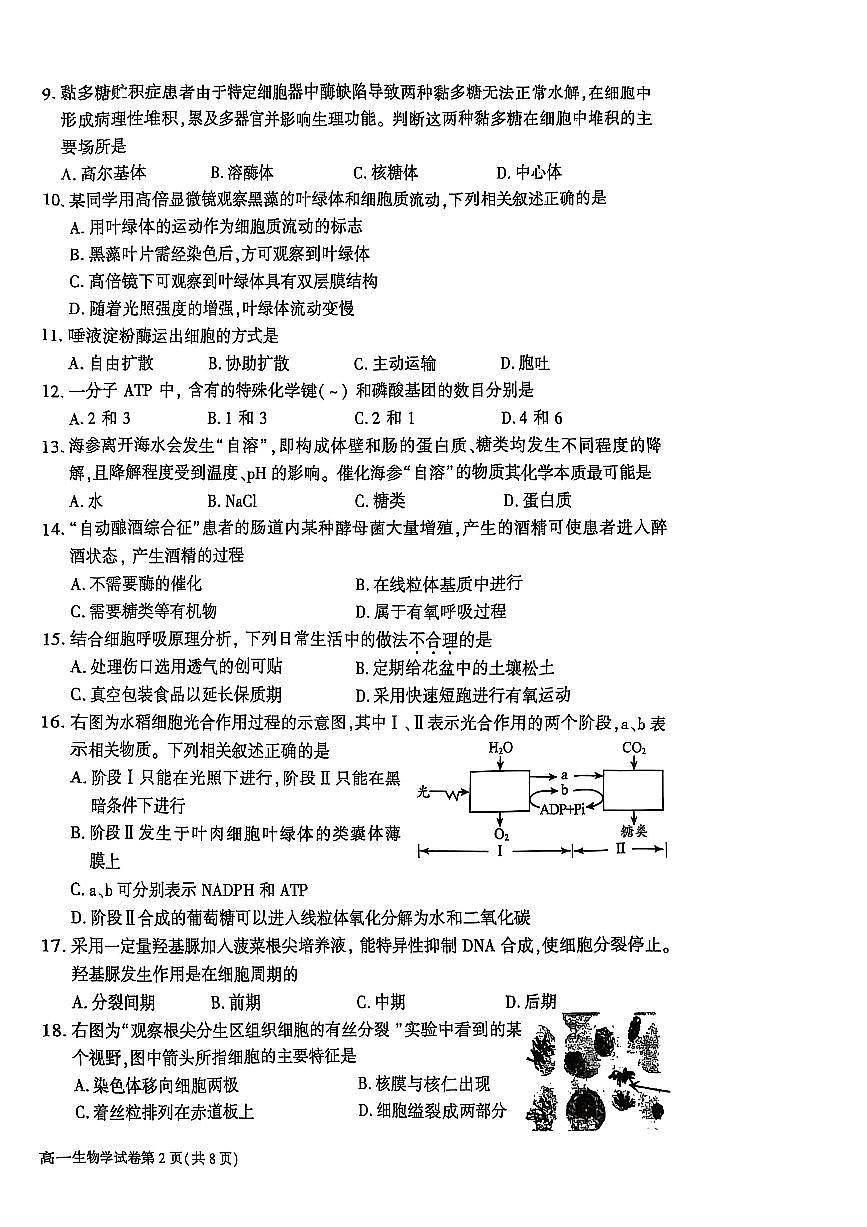 北京市大兴区2024-2025学年高一上学期期末考试生物试卷第2页