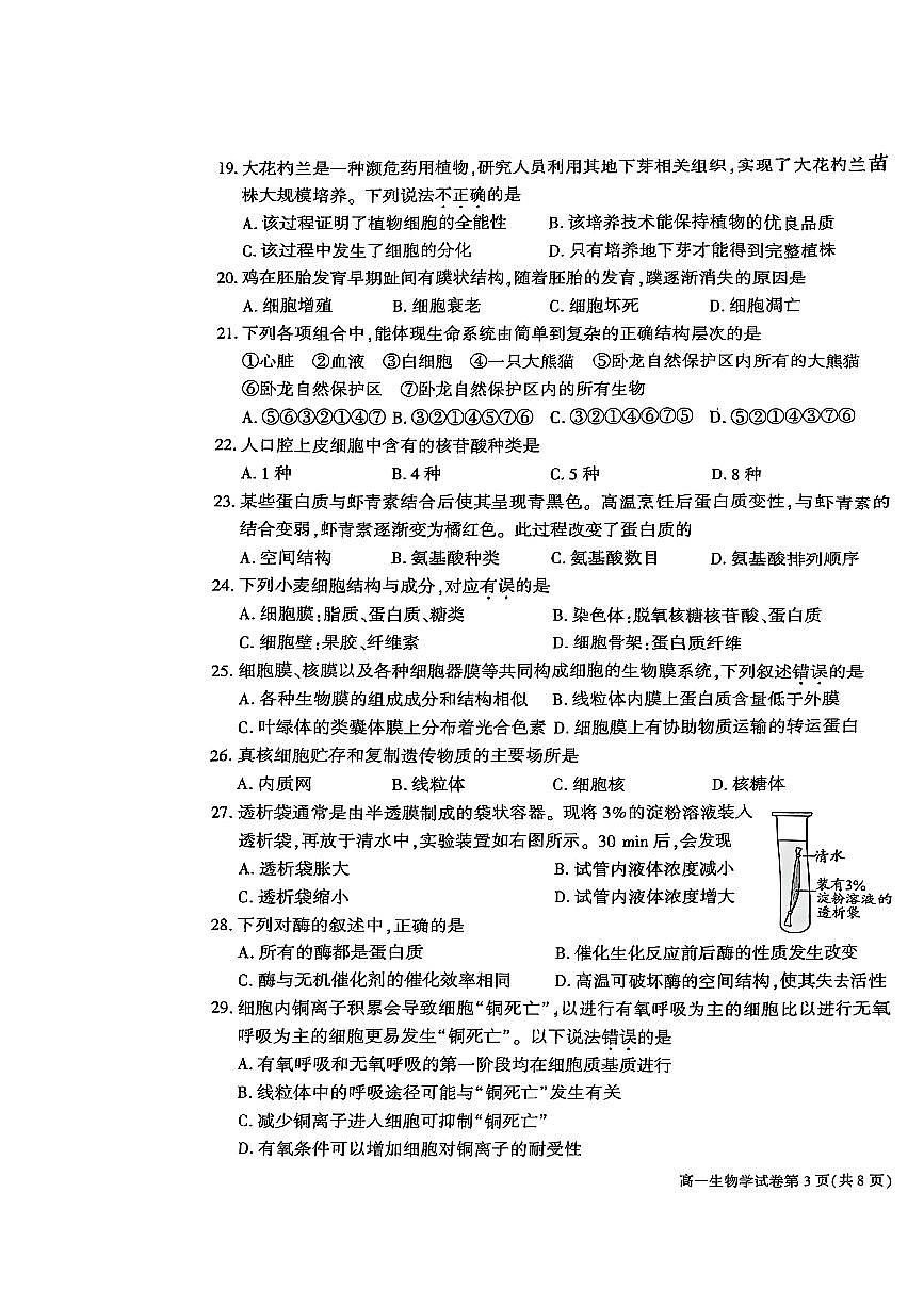 北京市大兴区2024-2025学年高一上学期期末考试生物试卷第3页