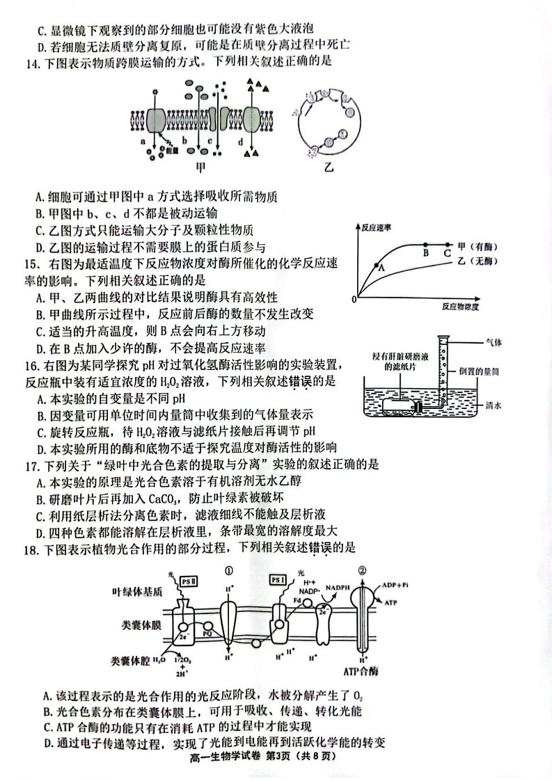 江苏省连云港市2024-2025学年高一上学期期末调研考试生物试题第3页