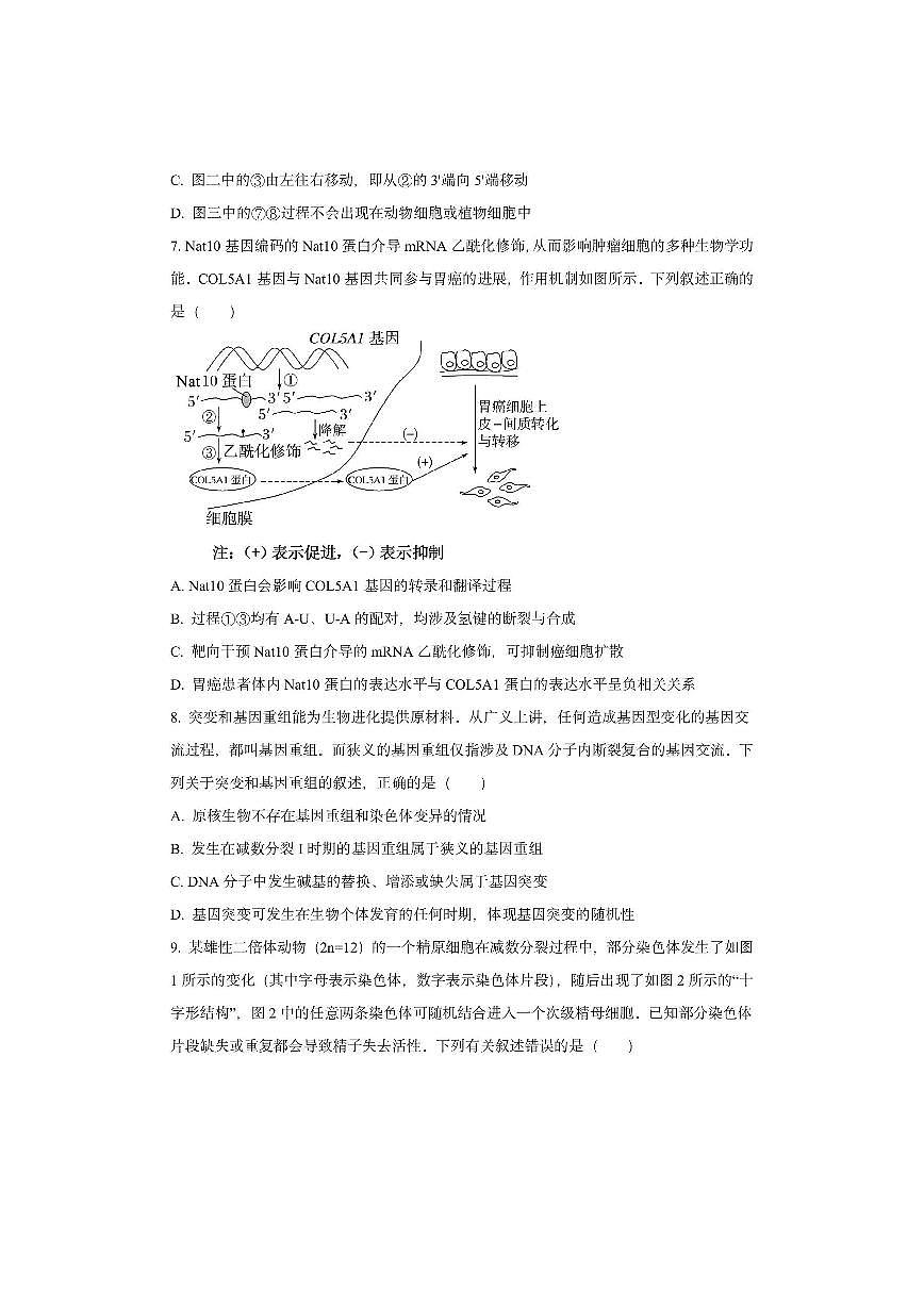 安徽省2025-2026学年高三上学期11月期中生物试卷（学生版）第3页