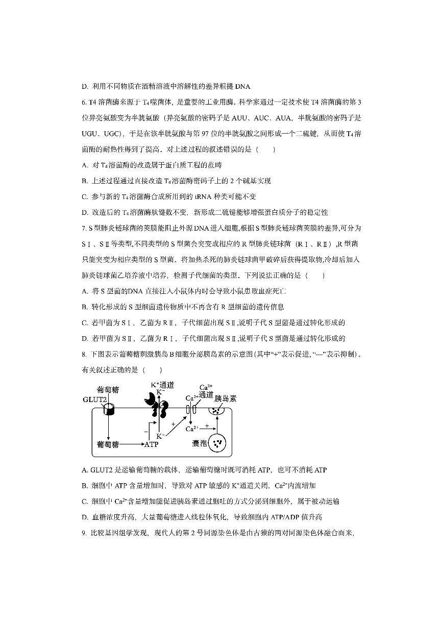 福建省泉州市2025-2026学年高三上学期期中生物试卷（学生版）第2页