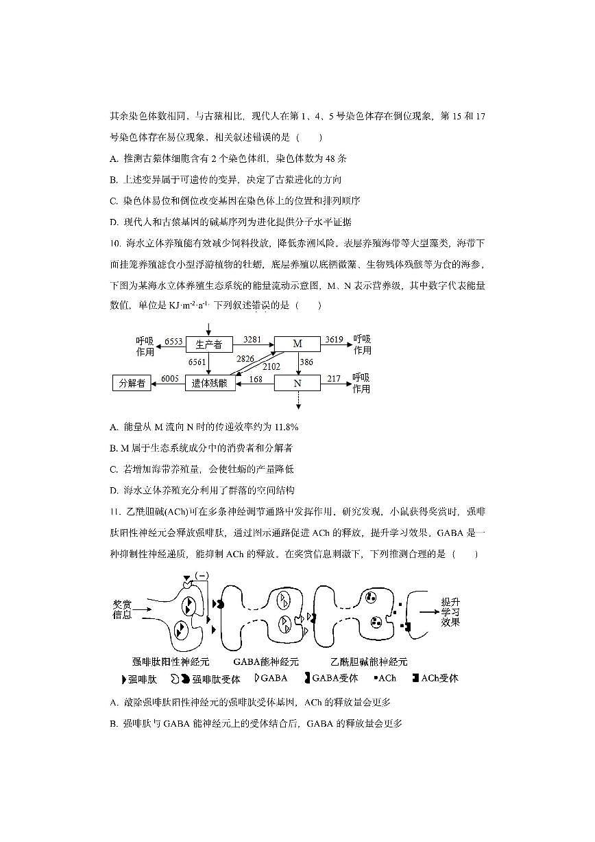 福建省泉州市2025-2026学年高三上学期期中生物试卷（学生版）第3页