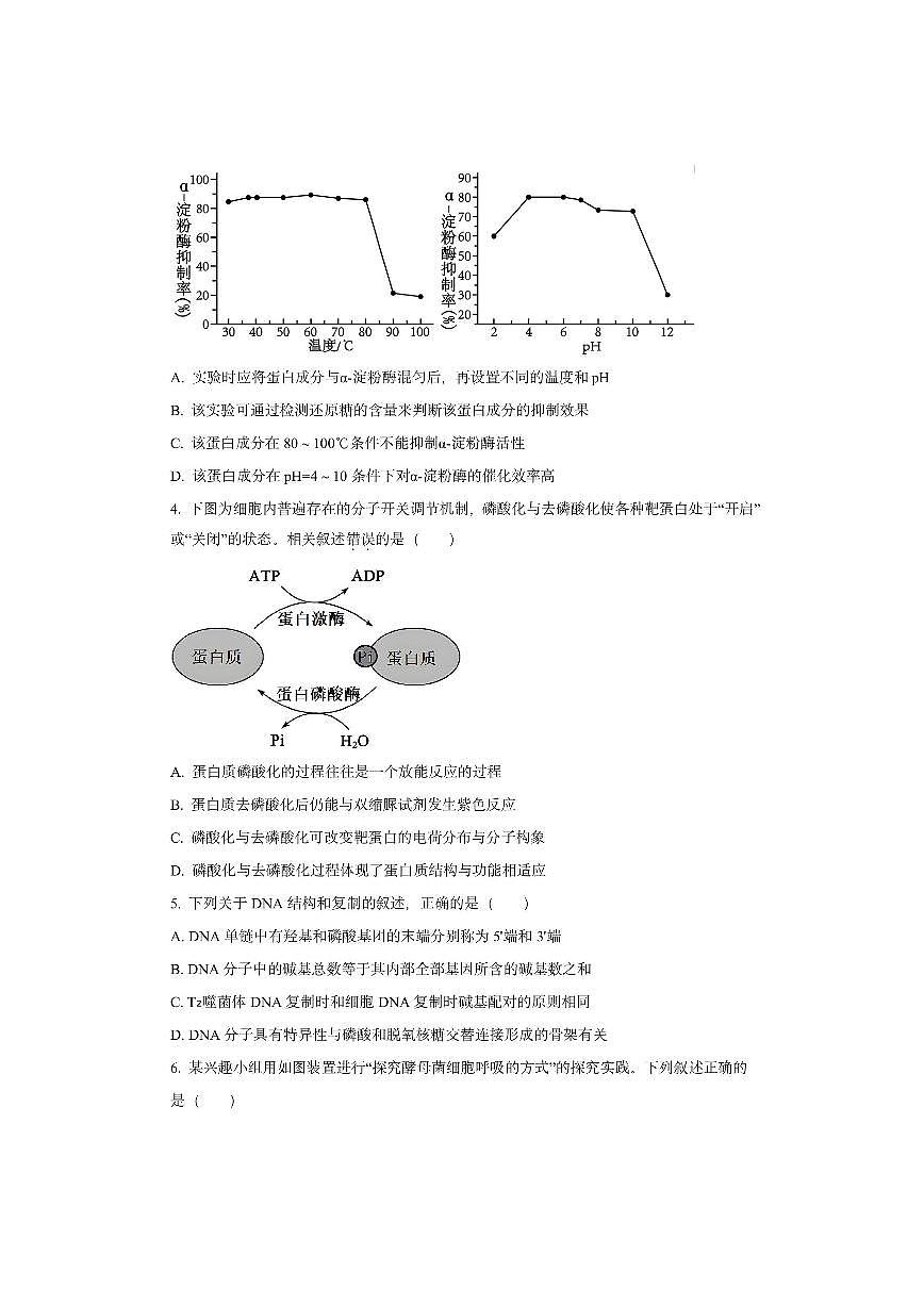 福建省百校2025-2026学年高三上学期11月联考生物试卷（学生版）第2页