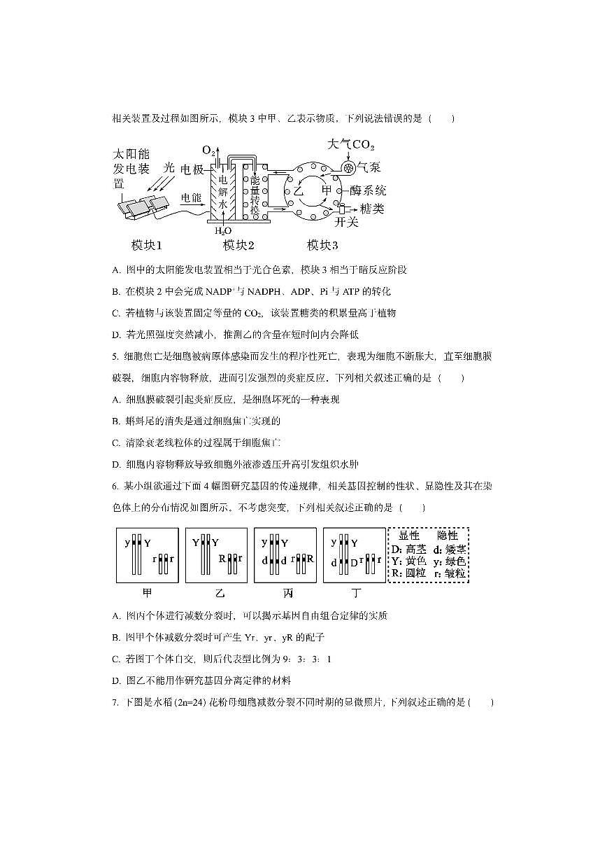 福建省百校联考2025-2026学年高三上学期期中测评生物试卷（学生版）第2页
