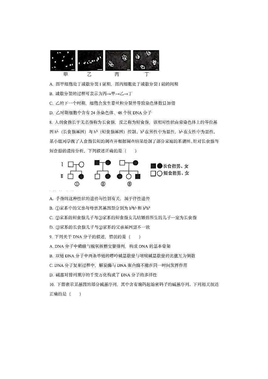 福建省百校联考2025-2026学年高三上学期期中测评生物试卷（学生版）第3页