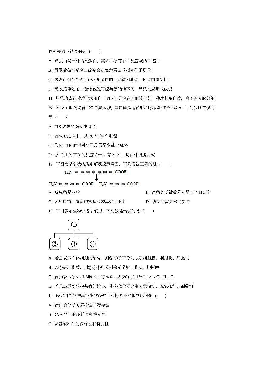 福建省龙岩市一级校盟联考2025-2026学年高一上学期11月期中生物试卷（学生版）第3页