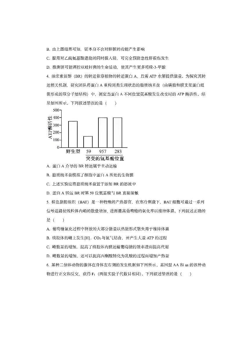 福建省名校联盟2025-2026学年高三上学期期中考试生物试卷（学生版）第2页