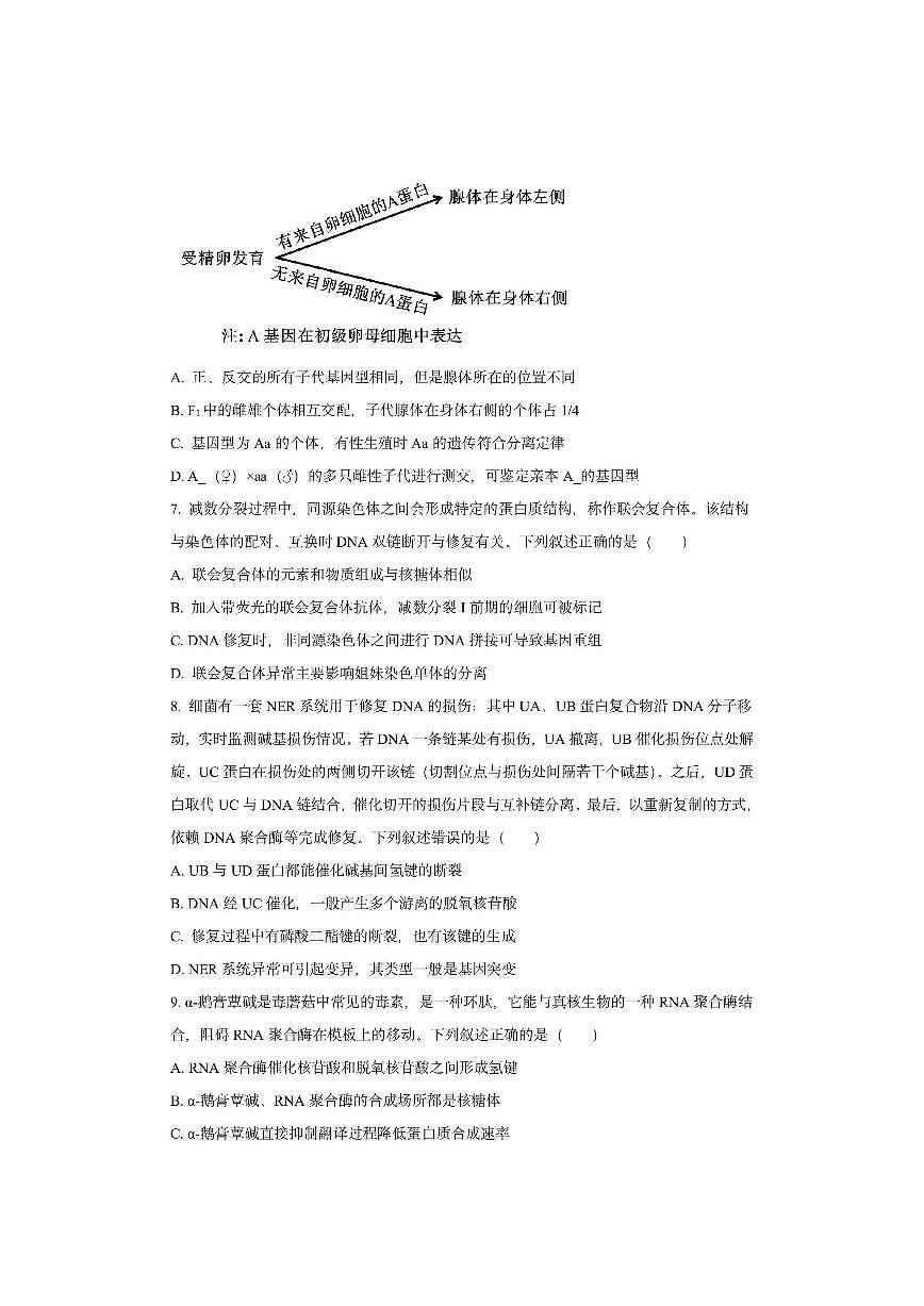 福建省名校联盟2025-2026学年高三上学期期中考试生物试卷（学生版）第3页