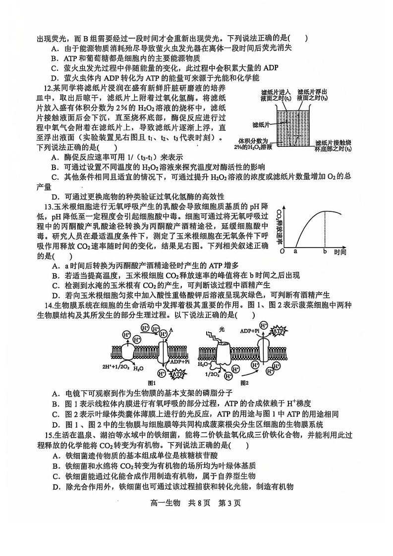 辽宁省部分高中联考2024-2025学年高一上学期1月期末生物试题第3页
