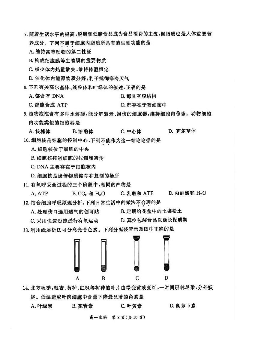 北京市东城区2024-2025学年高一上学期期末考试生物试卷第2页