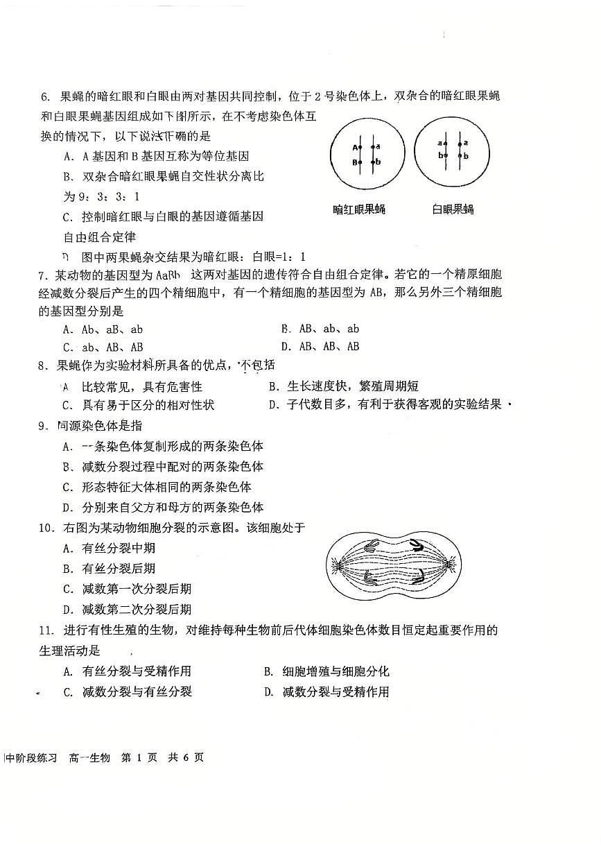 北京市第一六一中学2024-2025学年高一下学期4月期中生物试题第2页