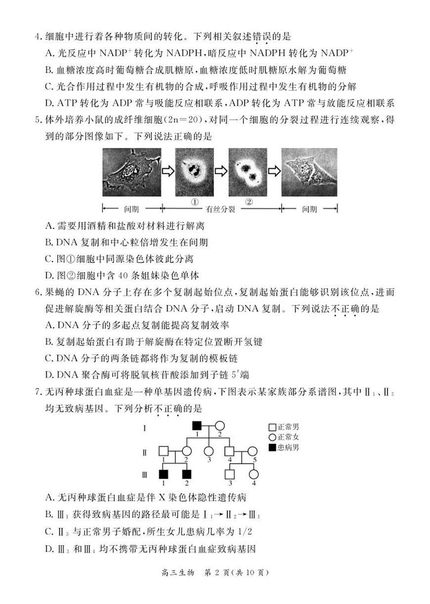 北京市东城区2024-2025学年高三上学期期末统一检测生物试题第2页