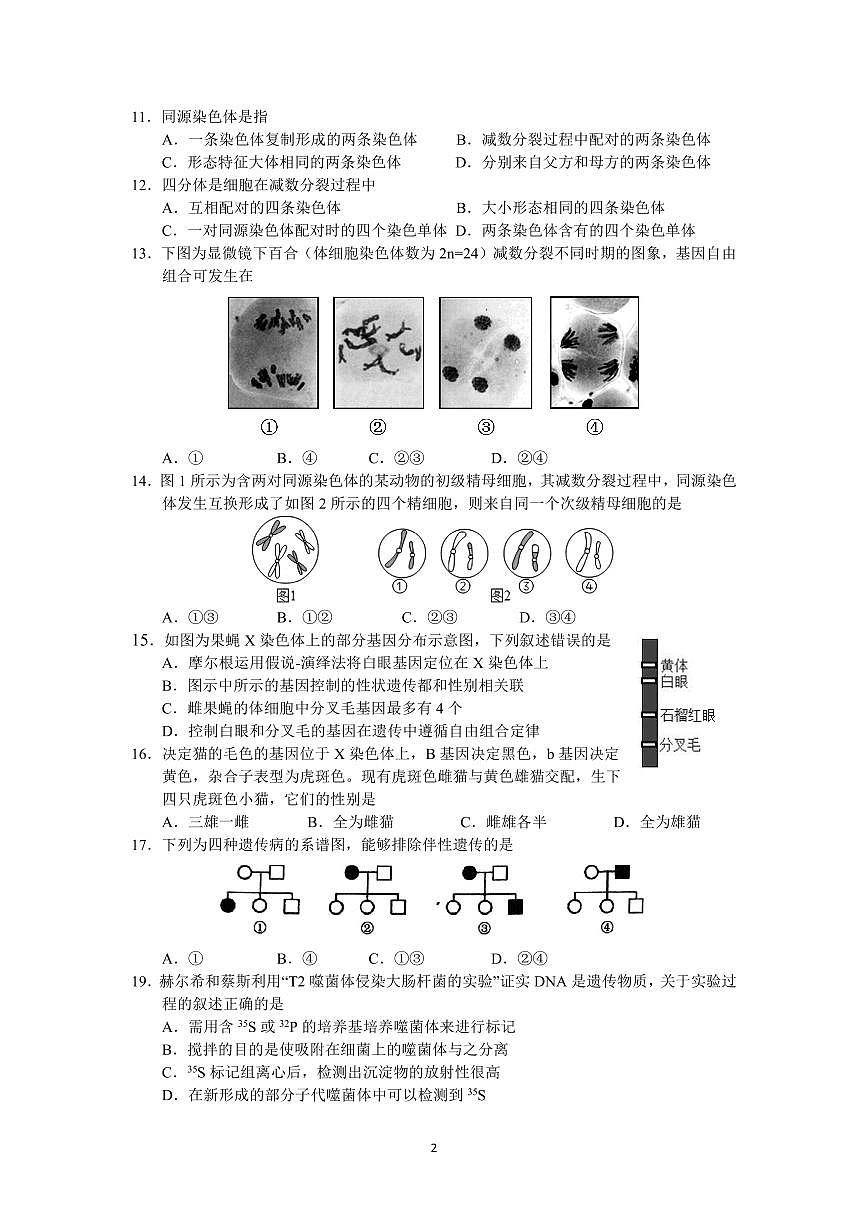 北京市对外经济贸易大学附属中学2024-2025学年高一下学期期中生物试题（合格考）第2页