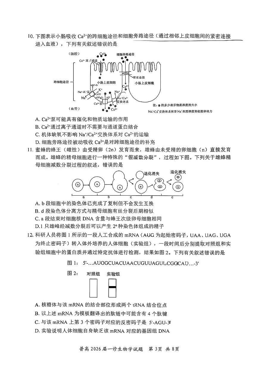 四川省自贡市普高2026届第一次诊断性考试生物第3页