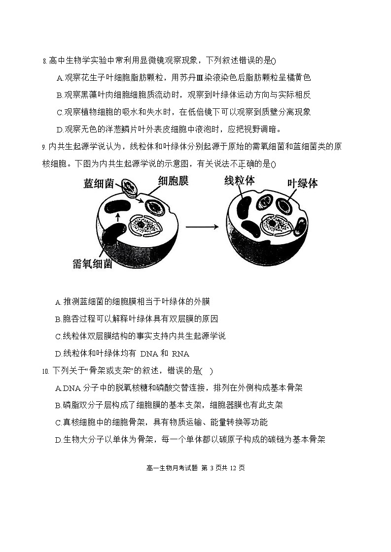 内蒙古自治区赤峰第四中学2025-2026学年高一上学期12月月考生物试题第3页
