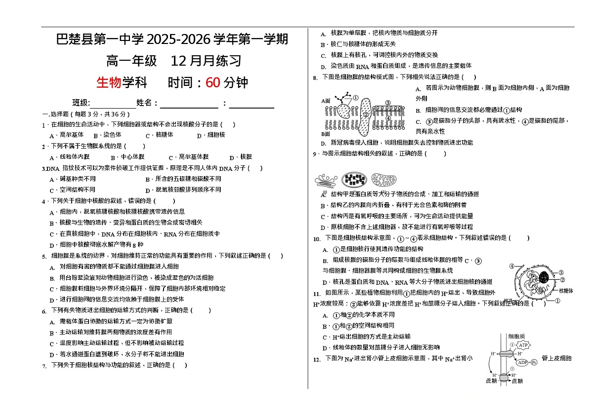 新疆维吾尔自治区喀什地区巴楚县第一中学2025-2026学年高一上学期12月月考生物试题第1页