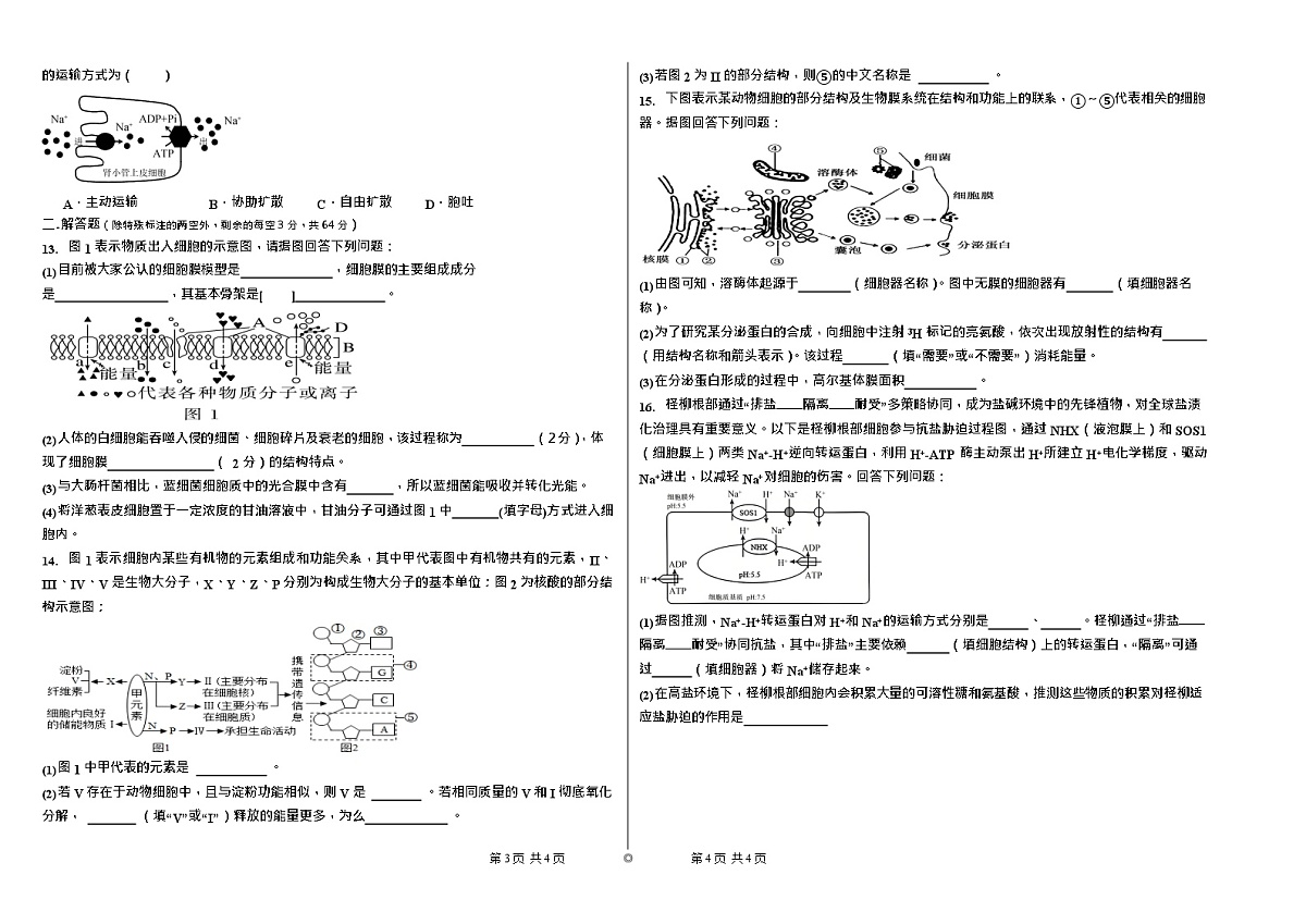 新疆维吾尔自治区喀什地区巴楚县第一中学2025-2026学年高一上学期12月月考生物试题第2页