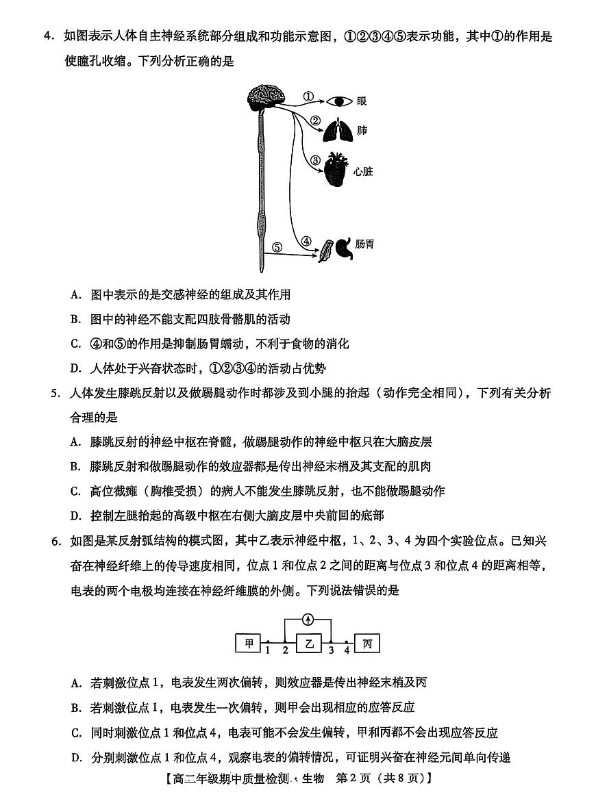 河北省沧衡名校联盟2025-2026学年高二上学期期中考试生物试卷（PDF版附解析）第2页
