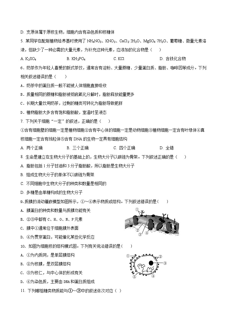 河南省名校联考2025-2026学年高一上学期11月期中考试生物试卷（Word版附答案）第2页