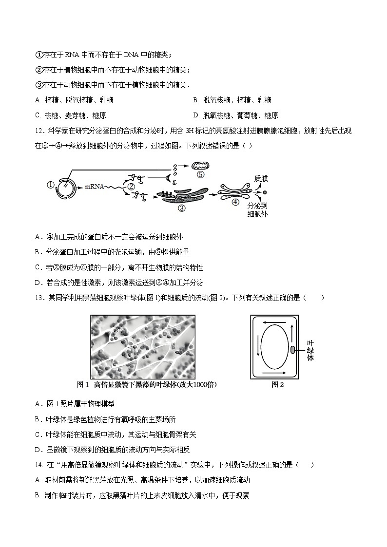 河南省名校联考2025-2026学年高一上学期11月期中考试生物试卷（Word版附答案）第3页